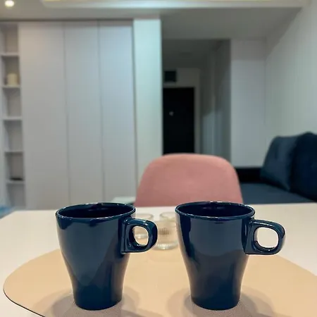 Apartment A1 Miladinovic Kraljevo